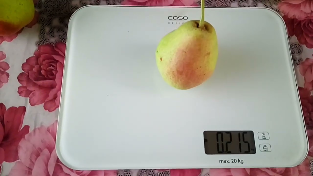#60. Взвешиваем груши сорт Сказочная.