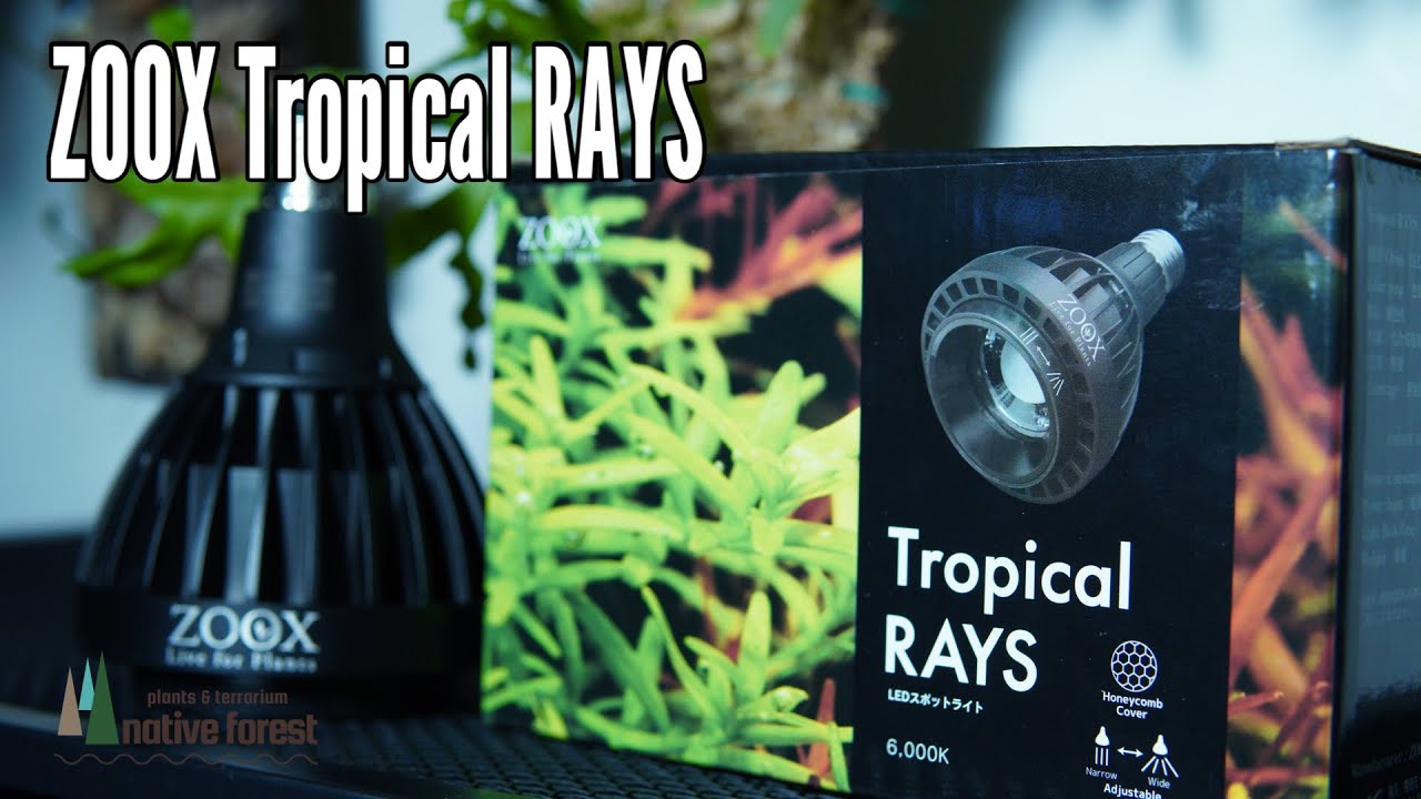【 ZOOX Tropical RAYS 】 アクアリウム・植物育成用ライト 最新レビュー！2020/10 リリース （レイズ）
