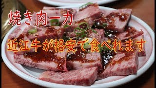 ＃焼き肉＃ホルモン＃飯テロ【焼き肉一力】近江牛が激安で食べられます！