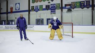 Stopping Dump Ins on Net | Goaltender Training with Eli Wilson