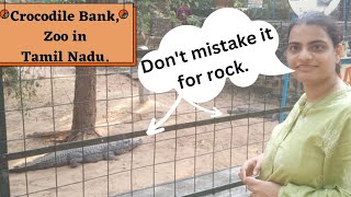 The Madras Crocodile Bank Trust & centre for Herpetology ( MCBT)| Zoo in Tamil Nadu 🐊🐍🐢@MEGZWINDOWS