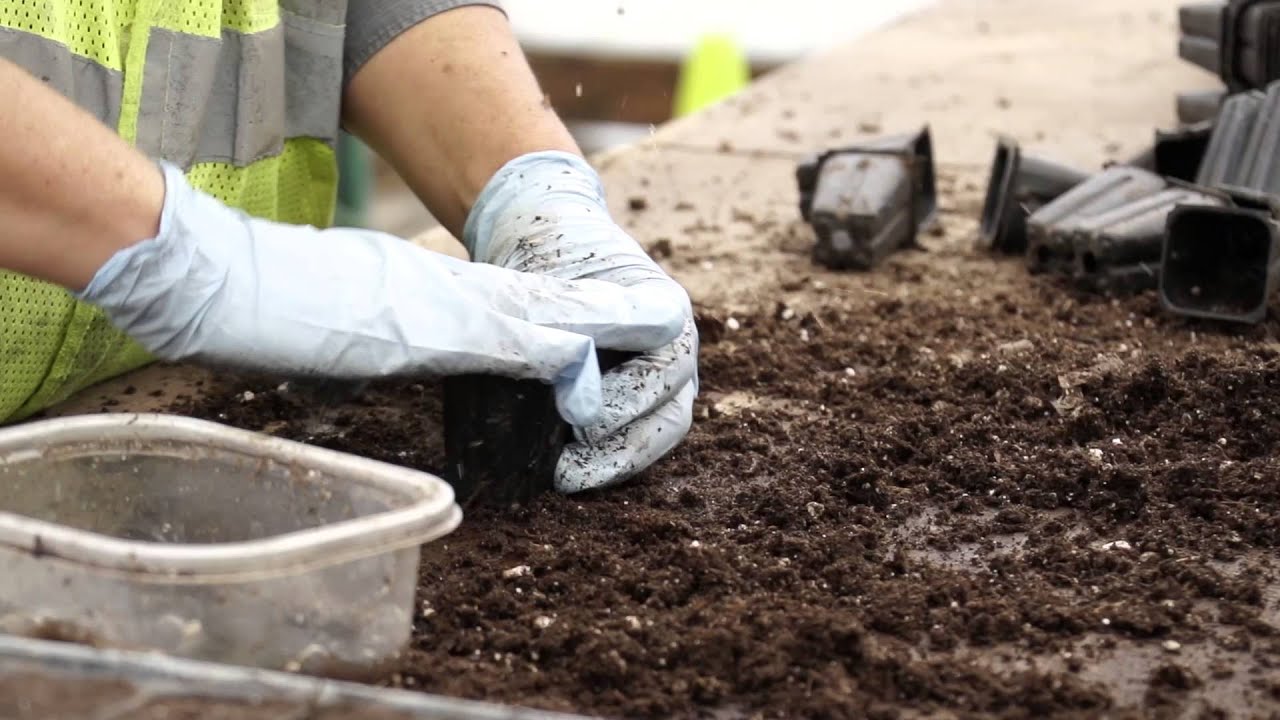 Experience Elk Mountain Farms