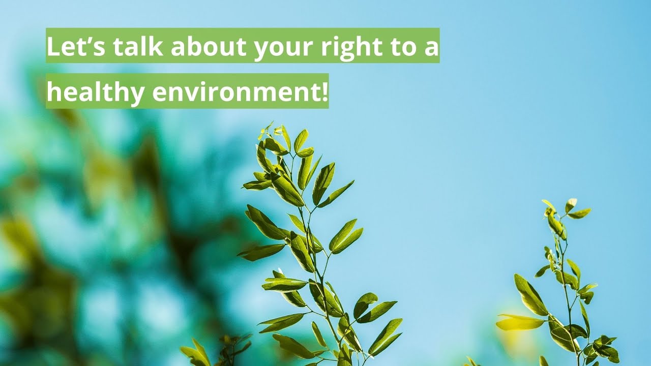 ¿Qué es el derecho a un ambiente saludable?
