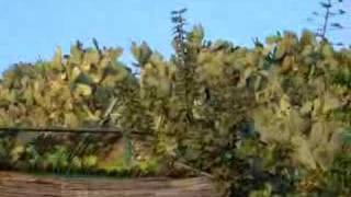 Zakat V Granadesunset In Granada