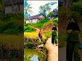 kehidupan di desa yang damai dan bikin betah #hidupdidesa #sawah #kampungsunda #desayangdamai