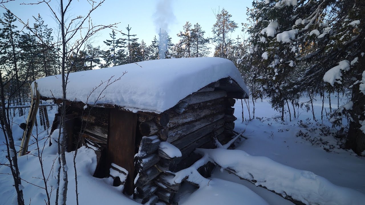 4 дня в старой избе. Наглые бобры. Уха на костре. Рыбалка.