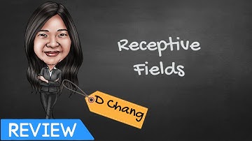 [2051 Perception] Receptive Fields