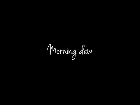Morning dew