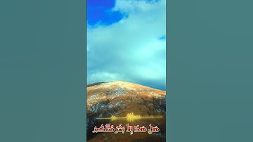 سورة الأنبياء و..كا.نك تسمعها لأ،و.ل مر.ة🧡🌸💐؛.💟❣️؛ 💮♥️بصوت الشيخ حمزة مدبو،.ح💗. 🏵️❤️،، 💝🌹، 🌺🌼