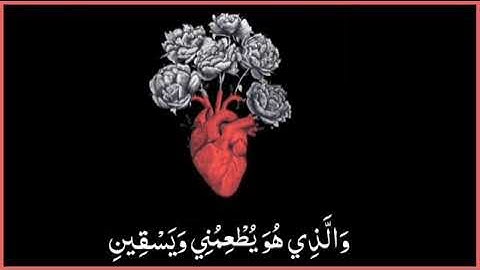 الذي خلقني فهو يهدين💔 تلاوة هادئه اسلام صبحي حالات واتس أب قران كريم آيات القرآن الكريم قصيرة