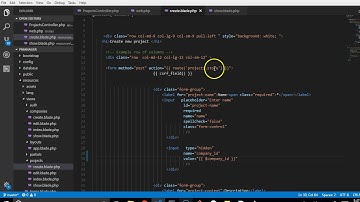Laravel 5.5 tutorial   41.1   fixing the project id vs company id error