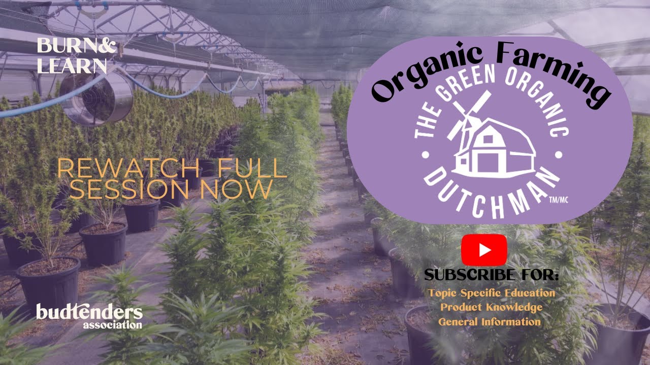 The Green Organic Dutchman Burn&Learn w/ Kris Leblanc (Master Grower