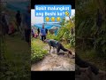 Funnyshorts Highlights Everyone Shorts Nadulas Funnyshorts Highlights Everyone Shorts Nadulas