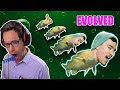 Evolution of the "Codfish" ▶️