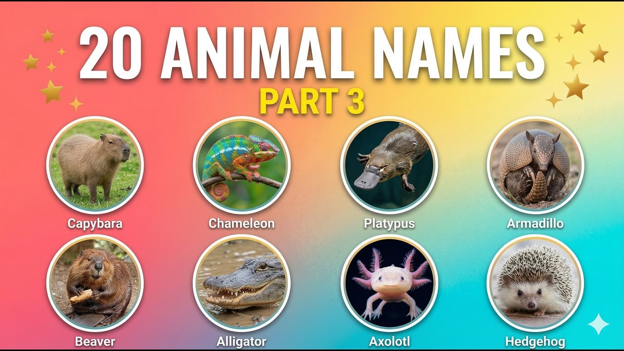 Unique Animal Names 20 More Unique Animal Names & Facts | (Part 3) 🐊🦔 Educational Video for ...