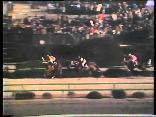 中山大障害・春 1964年 フジノオー - YouTube