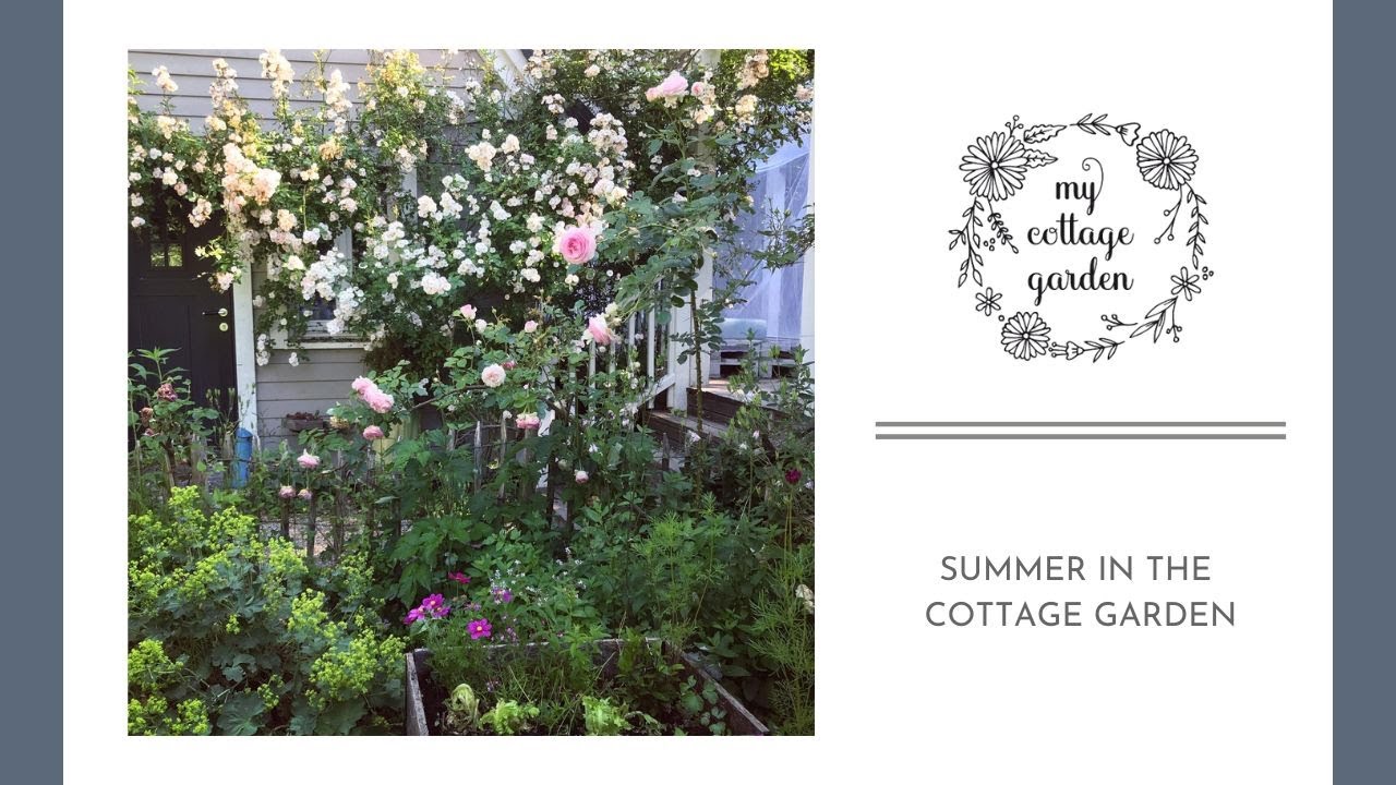 Summer in the Cottage Garden