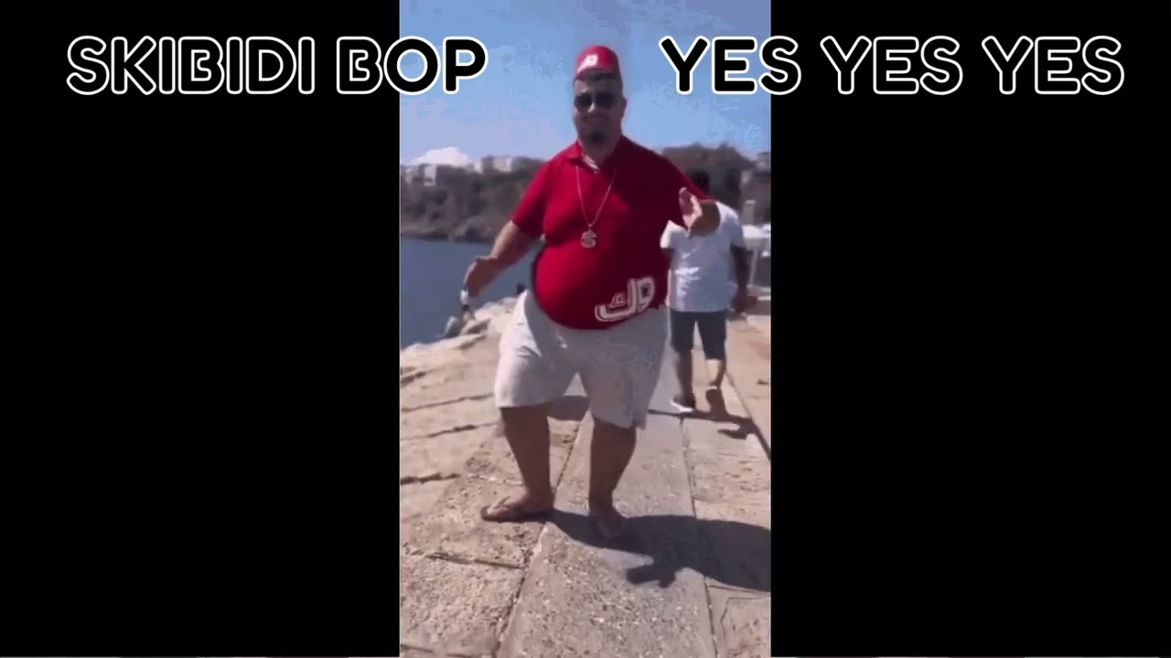 Skibidi Bop Yes Yes Yes (ELEPS DUBSTEP REMIX) 