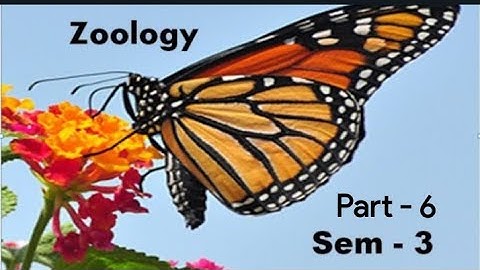 Kerala university BSc Botany/ Home science  previous questions - ZOOLOGY  -  ( sem - 3 ) P6