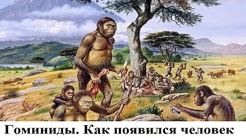 Гоминиды. Как появился человек. Оказалось, что вовсе не труд создал человека, а любовь!