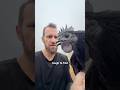 Picking Out our New Ayam Cemani Rooster