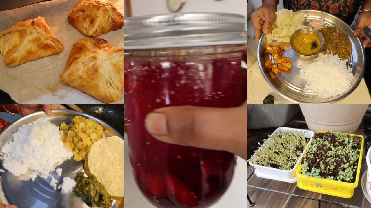 Vlog | yummy food I cooked this week | life is all about balance | growing  micro greens | drinks