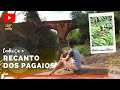 Conheça o Recanto Dos Papagaios- Palmeira -PR 2021- Turismo no Paraná