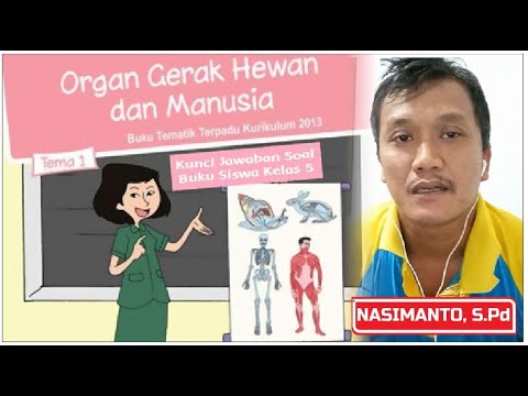 PEMBELAJARAN TEMA 1 ORGAN  GERAK  HEWAN  MANUSIA 