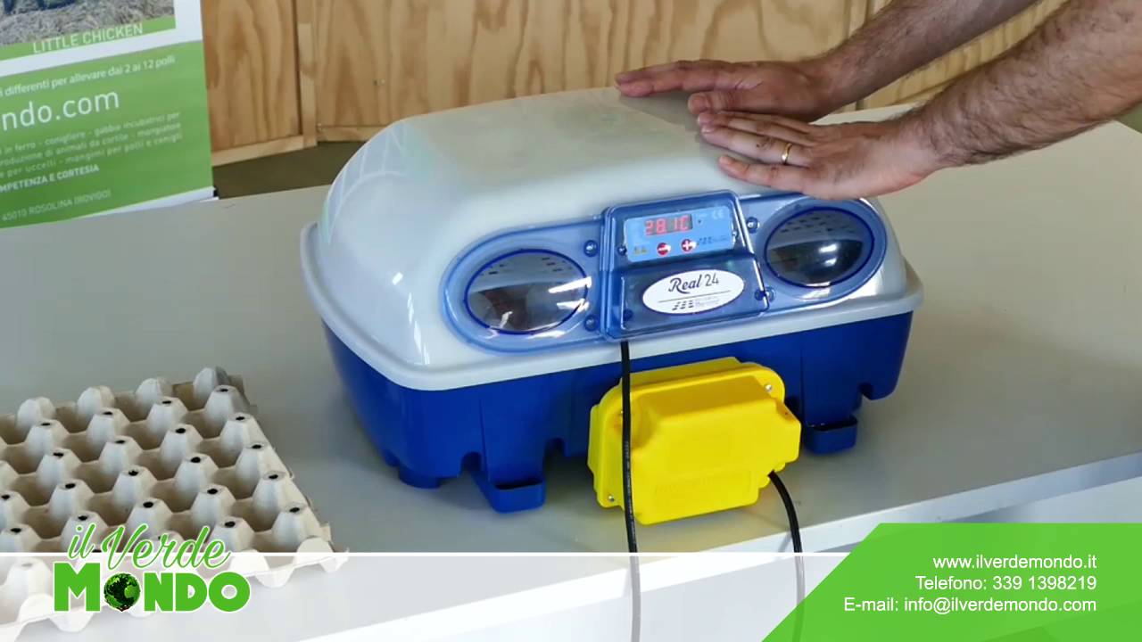 Incubatrice per uova con dispositivo gira uova automatico - REAL 24 -  BOROTTO - per polli / per anatre / per oche