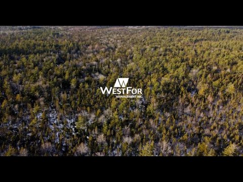 Video: Tämän Paikan Muotokuva: Nova Scotia