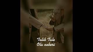 Talib Tale-Ola xeberi speed up Resimi