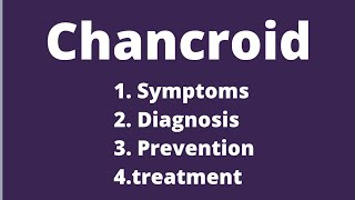 Chancroid | symptoms of chancroid | treatment of chancroid | sexually transmitted disease chancroid screenshot 2