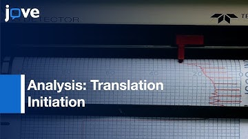 Analysis: Translation Initiation During Stress Conditions By Polysome Profiling l Protocol Preview