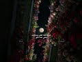 شايفه هذا القمر وحلاوته أنتى احلا منو ياقمر 🌚❤️