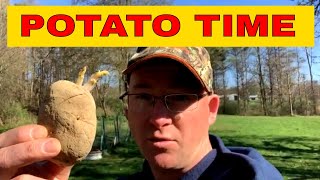 How To Grow lot’s Potatoes In A Pile Of Fresh Compost