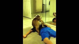 DOG HUMPS KID!!! DOG HUMPS KID!!!