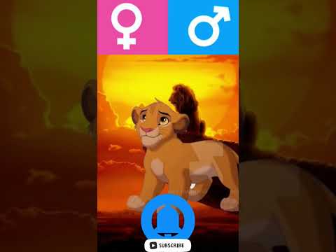 The Lion King