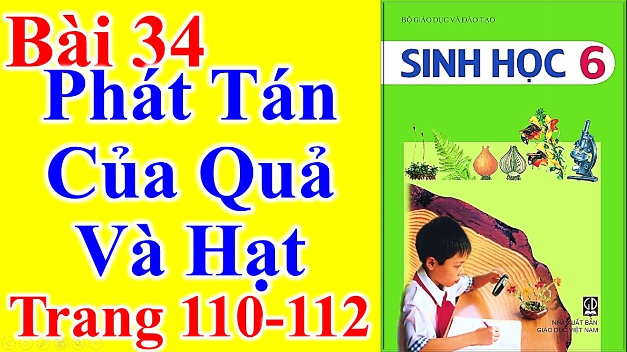 Học tốt sinh học lớp 6 | Sinh Học Lớp 6 Bài 34 – Phát Tán Của Quả Và Hạt – Trang 110 – 112