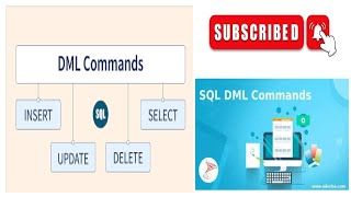 sql DML commands || DBMS