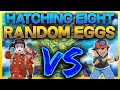 We Hatch 8 RANDOM Eggs.. Then We FIGHT! Pokemon Sword and Shield