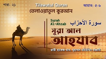 মন জুড়ানো তেলাওয়াত  | সূরা আল আহ্‌যাব | Surah Al-Ahzab |  سورة الأحزاب | আয়াত ৫-৬