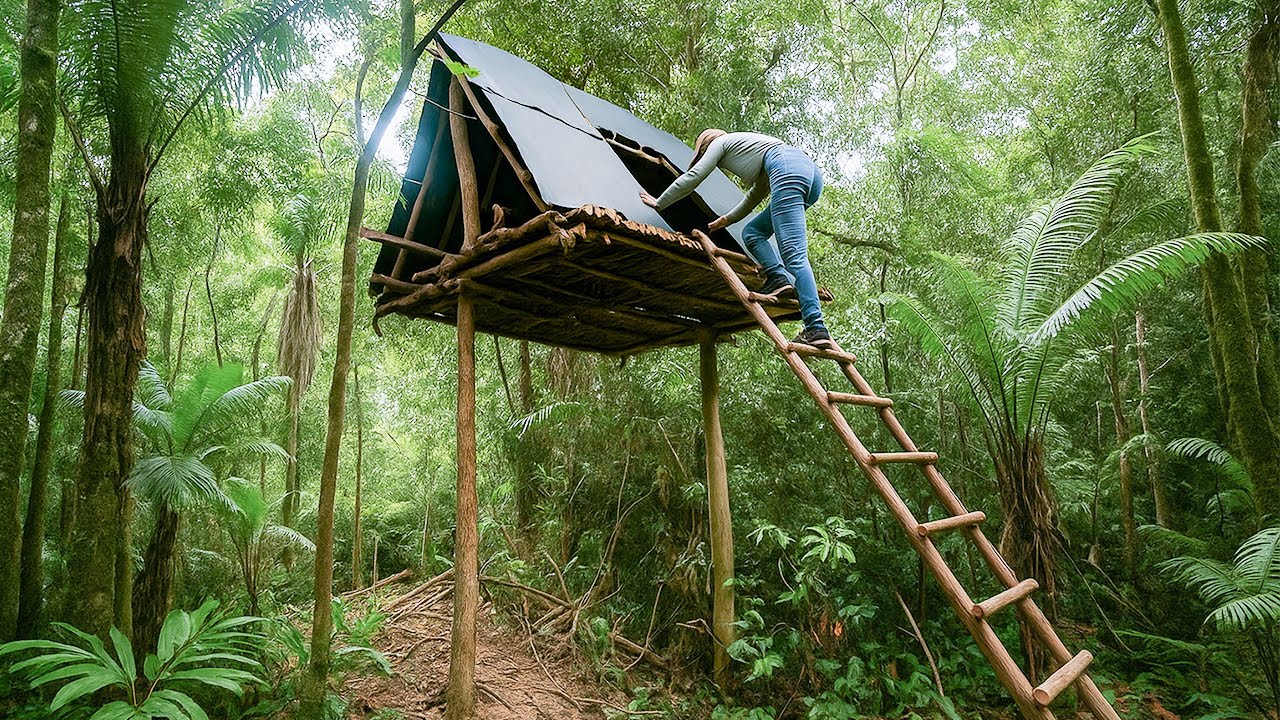 Building Tree Cabin Shelter to Survive in the Wild | Hidden Survival ...