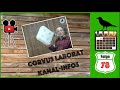 Aufregendes Jahr 2024 kommt | WAM 78