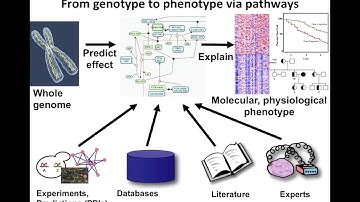 Introduction to Pathway and Network Analysis
