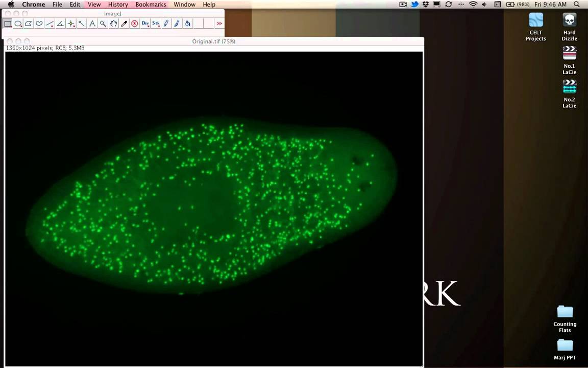 Automated Cell Counting In Imagej