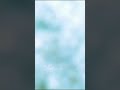 نشيد لايزال الخير حيا حالات واتس اناشيد دينية جميلة