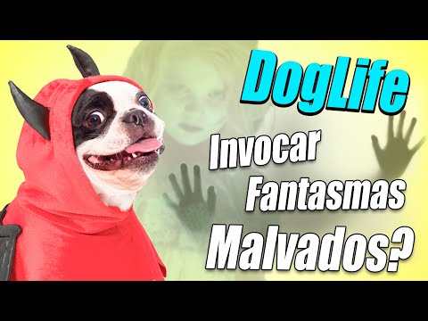 VIVO LA VIDA DE UNA PERRA SATÁNICA | Doglife