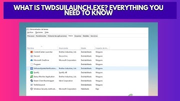 What is TwDsUiLaunch exe Everything You Need to Know