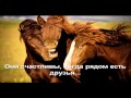 Моя Любовь к Лошади... I love horses.mp4