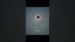 Messi Pepsi Ad With Meerkats Trollface Edit